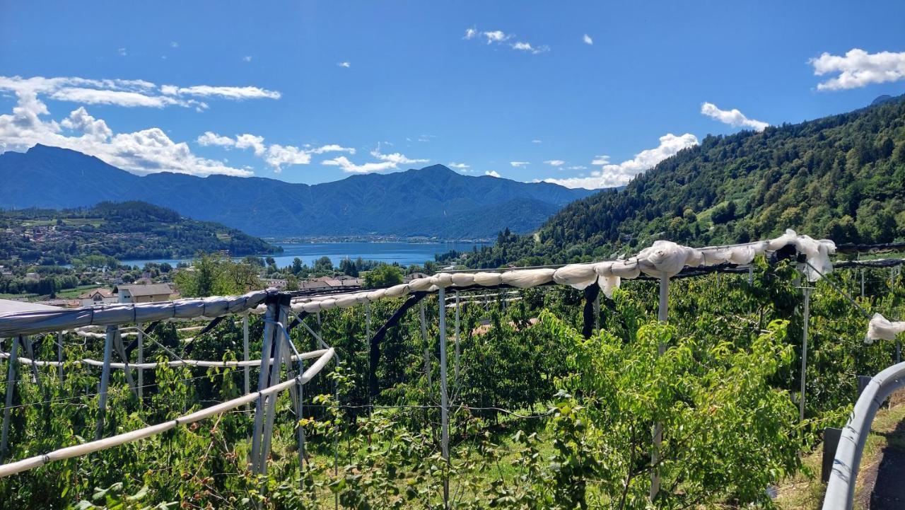 La Coccinella Di Susa Pergine Valsugana Exterior foto